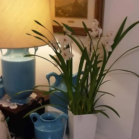 לינה וארוחת בוקר Tosca House 2 *